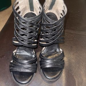 Freebird by Steven Wing